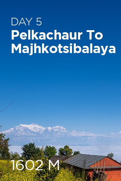 Day 5 Pelkachaur to Majhkotsibalaya