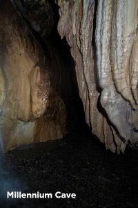 Millennium Cave